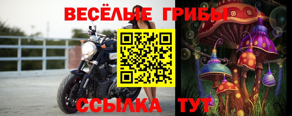 Псилоцибиновые грибы мицелий  Псилоцибиновые грибы ЛСД  Октябрьский  Вход с VPN 