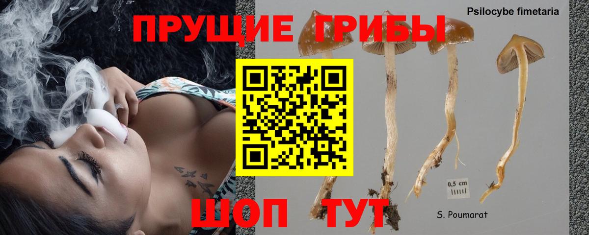 Псилоцибиновые грибы мухоморы Октябрьский